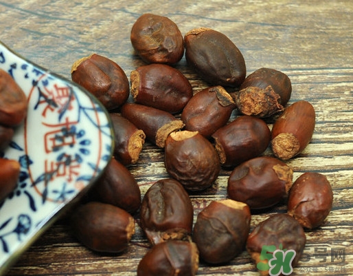 龍眼核能種嗎？龍眼核怎么種盆栽