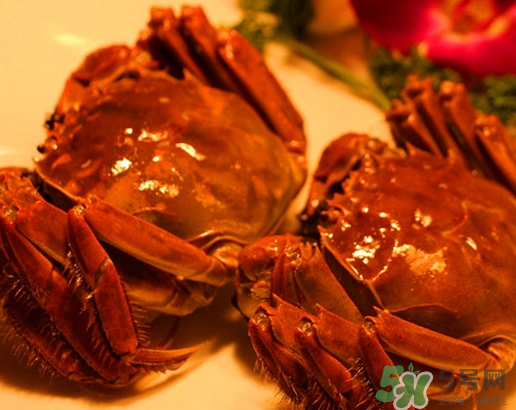 六月黃大閘蟹好吃嗎？六月黃和大閘蟹有什么區(qū)別？