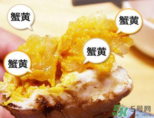 六月黃大閘蟹好吃嗎？六月黃和大閘蟹有什么區(qū)別？