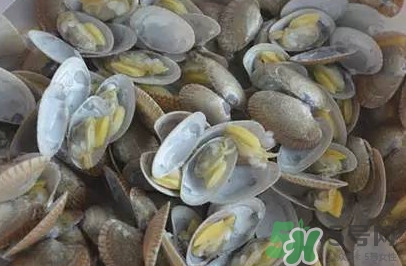 花蛤蜊什么時(shí)候最肥？花蛤蜊怎么挑選