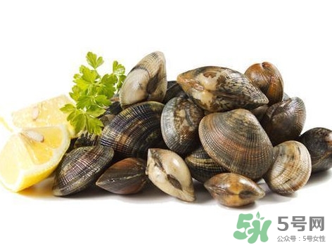 白蛤蜊和花蛤蜊哪個泥沙多？花蛤蜊怎么清洗干凈