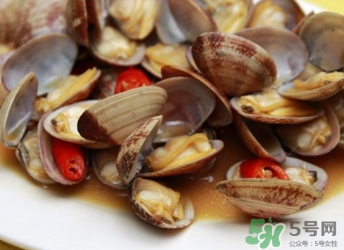 花蛤如何快速吐沙子？花蛤吐沙鹽水比例多少？