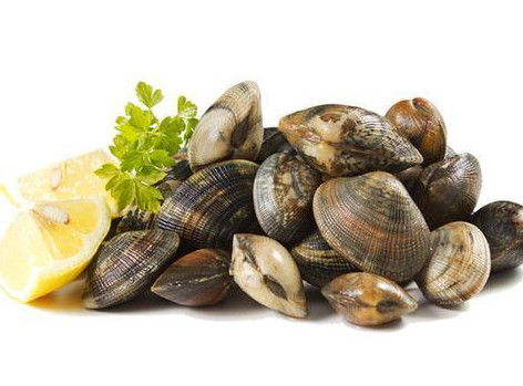 花蛤蜊與什么不能同食？花蛤蜊和什么相克