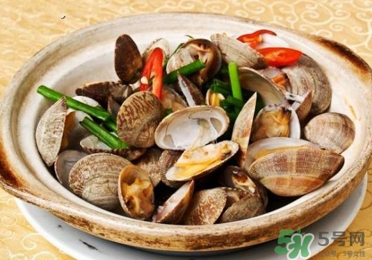 花蛤如何快速吐沙子？花蛤吐沙鹽水比例多少？