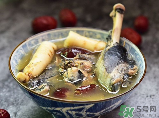 三伏天可以吃人參嗎？三伏天吃人參好嗎？