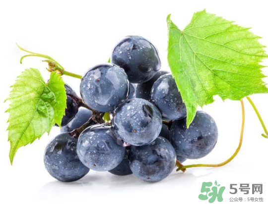 夏黑葡萄為什么掉色？夏黑葡萄怎么會染色？