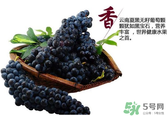 夏黑葡萄怎么保存？夏黑葡萄可以放冰箱嗎？