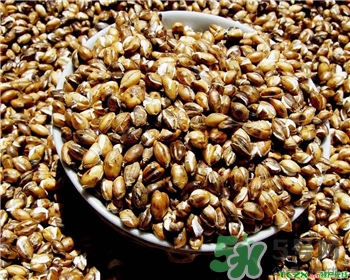 青稞是什么?青稞的價值功效 青稞是什么?青稞的價值功效