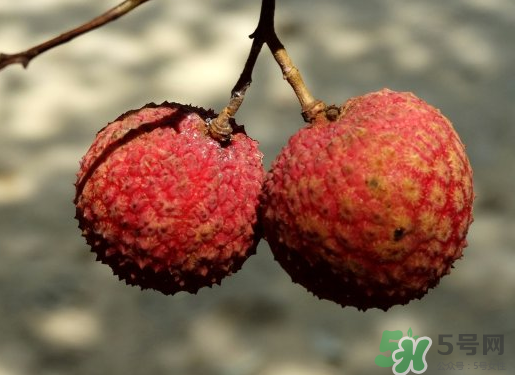 七月份還有荔枝嗎？7月份還有荔枝嗎？                                                                                                                                                                                                                                                                                                                                                                                                                                                                                                                                                                                                                                                                                                                                                                                                                                                                                                                                                                                                                                                                                                                                                                                                                                                                                                                                                                                                                                                                                                                                                                                                                                                                                                                                                                                                                                                                                                                                                                                                                                                                                                                                                                                                                                                                                                                                                                                                                                                                                                                                                                                                                                                                                                                                                                                                                                                                                                                                                                                                                                                                                                                                                                                                                                                                                                                                                                                                                                                                                                                                                                                                                                                                                                                                                                                                                                                                                                                                                                                                                                                                                                                                                                                                                                                                                                                                                                                                                                                                                                                                                                                                                                                                                                                                                                                                                                                                                                                                                                                                                                                                                                                                                                                                                                                                                                                                                                                                                                                                                                                                                                                                                                                                                                                                                                                                                                                                                                                                                                                                                                                                                                                                                                                                                                                                                                                                                                                                                                                                                                                                                                                                                                                                                                                                                                                                                                                                                                                                                                                                                                                                                                                                                                                                                                                                                                                                                                                                                                                                                                                                                                                                                                                                                                                                                                                                                                                                                                                                                                                                                                                                                                                                                                                                                                                                                                                                                                                                                                                                                                                                                                                                                                                                                                                                                                                                                                                                                                                                                                                                                                                                                                                                                                                                                                                                                                                                                                                                                                                                                                                                                                                                                                                                                                                                                                                                                                                                                                                                                                                                                                                                                                                                                                                                                                                                                                                                                                                                                                                                                                                                                                                                                                                                                                                                                                                                                                                                                                                                                                                                                                                                                                                                                                                                                                                                                                                                                                                                                                                                                                                                                                                                                                                                                                                                                                                                                                                                                                                                                                                                                                                                                                                                                                                                                                                                                                                                                                                                                                                                                                                                                                                                                                                                                                                                                                                                                                                                                                                                                                                                                                                                                                                                                                                                                                                                                                                                                                                                                                                                                                                                                                                                                                                                                                                                                                                                                                                                                                                                                                                                                                                                                                                                                                                                                                                                                                                                                                                                                                                                                                                                                                                                                                                                                                                                                                                                                                                                                                                                                                                                                                                                                                                                                                                                                                                                                                                                                                                                                                                                                                                                                                                                                                                                                                                                                                                                                                                                                                                                                                                                                                                                                                                                                                                                                                                                                                                                                                                                                                                                                                                                                                                                                                                                                                                                                                                                                                                                                                                                                                                                                                                                                                                                                                                                                                                                                                                                                                                                                                                                                                                                                                                                                                                                                                                                                                                                                                                                                                                                                                                                                                                                                                                                                   月份還有荔枝嗎？