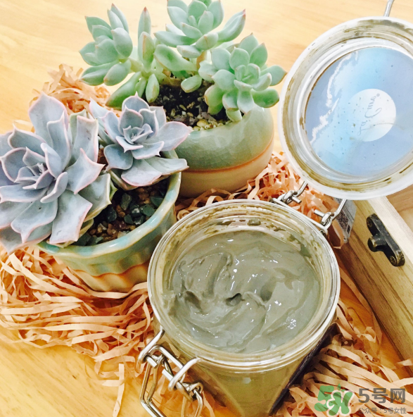 天然死海礦物泥面膜怎么樣？天然死海礦物泥面膜好用嗎？