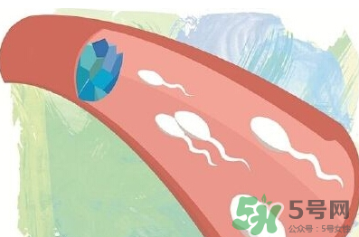 男性避孕藥什么牌子好？男性避孕藥多少錢一盒？