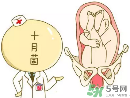 胎位不正能順產(chǎn)嗎？胎位不正怎么辦？