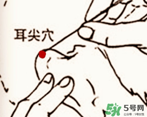 什么人不能做放血療法？放血療法有什么功效？