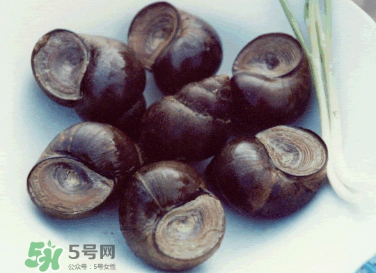 田螺是發(fā)物嗎？田螺是海鮮嗎