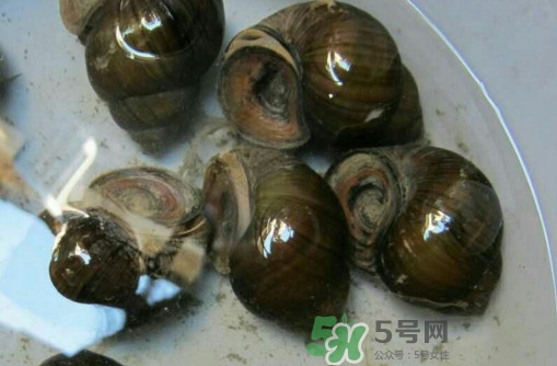 田螺里面都可以吃嗎？田螺不能和什么同食