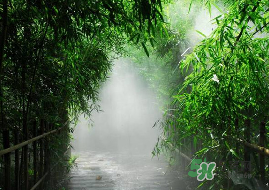 2017大暑會不會下雨？2017大暑下雨好嗎？