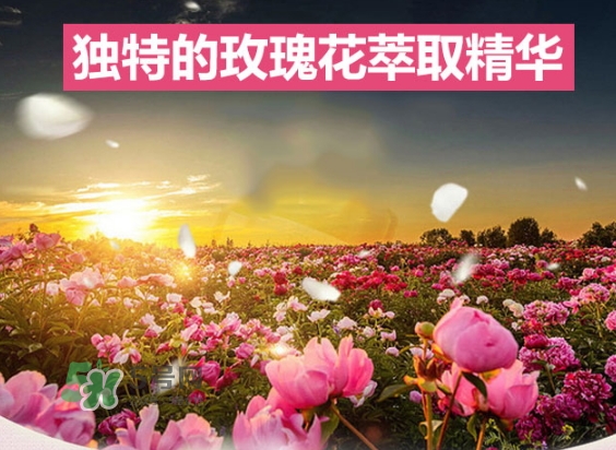 資生堂玫瑰園沐浴露怎么樣？資生堂玫瑰園沐浴露多少錢