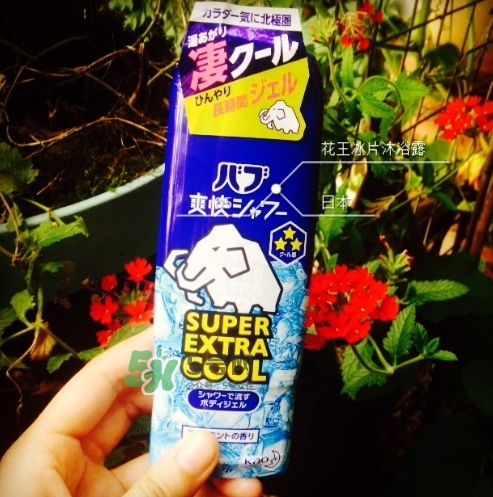 花王kao冰片沐浴露怎么樣？花王冰片沐浴露哪款好？