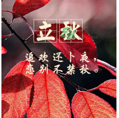 立秋后就是秋天了嗎？立秋后就涼快了嗎？