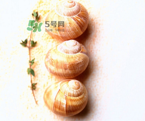 田螺是寒性的嗎？田螺煮多久殺死寄生蟲