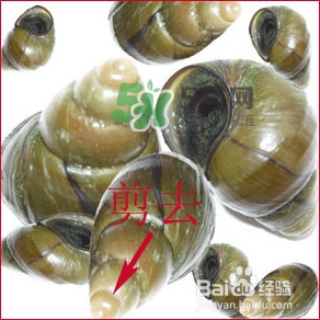 田螺里面都可以吃嗎？田螺不能和什么同食