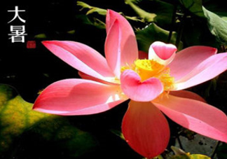 2017中伏最熱嗎？ 2017初伏中伏末伏哪個(gè)最熱？