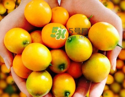 金桔是熱性還是涼性？金桔是酸性還是堿性