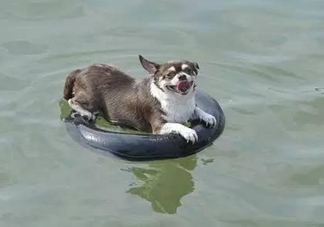 三伏天為什么會很熱？三伏天太熱怎么辦？