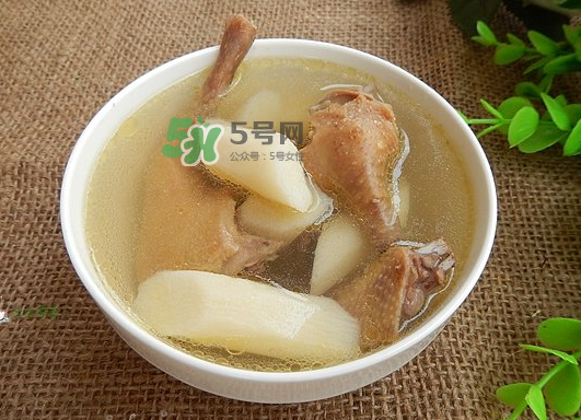 三伏天能吃鴿子嗎？三伏天能喝鴿子湯嗎？