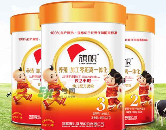 旗幟奶粉怎么樣？旗幟奶粉好不好？