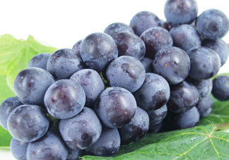 紅提好吃還是黑提好吃？黑提對身體有什么好處