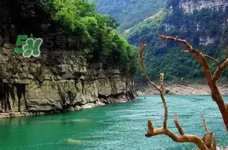 漂流需要準(zhǔn)備什么東西？漂流哪里最好玩？