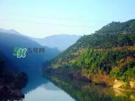 漂流需要準(zhǔn)備什么東西？漂流哪里最好玩？