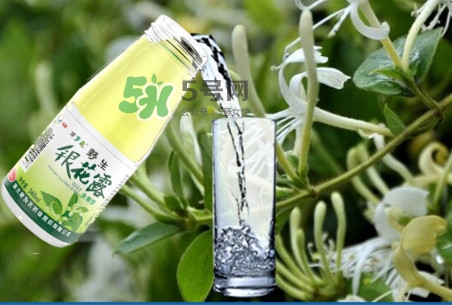 金銀花露可以冷藏嗎？金銀花露能放冰箱嗎？