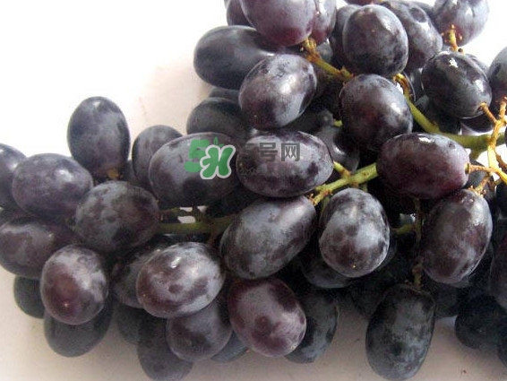 紅提好吃還是黑提好吃？黑提對身體有什么好處