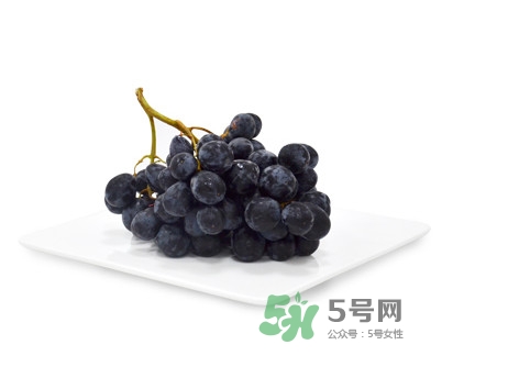 黑提有籽嗎？黑提是什么季節(jié)的水果