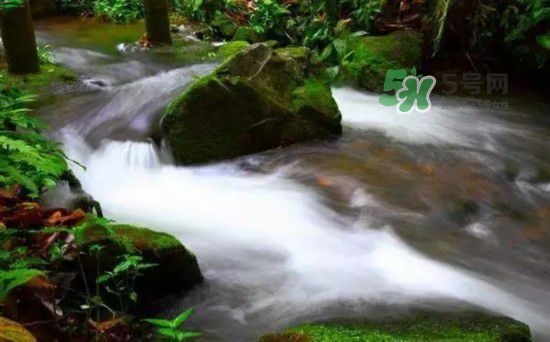 漂流需要準(zhǔn)備什么東西？漂流哪里最好玩？