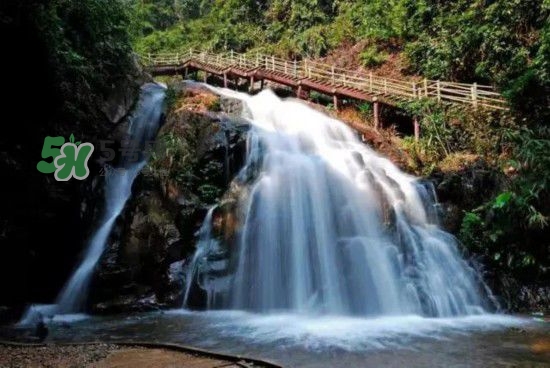 漂流需要準(zhǔn)備什么東西？漂流哪里最好玩？