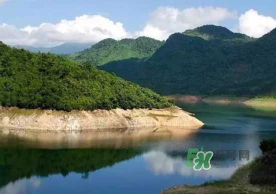 漂流需要準(zhǔn)備什么東西？漂流哪里最好玩？