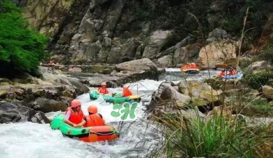 漂流需要準(zhǔn)備什么東西？漂流哪里最好玩？