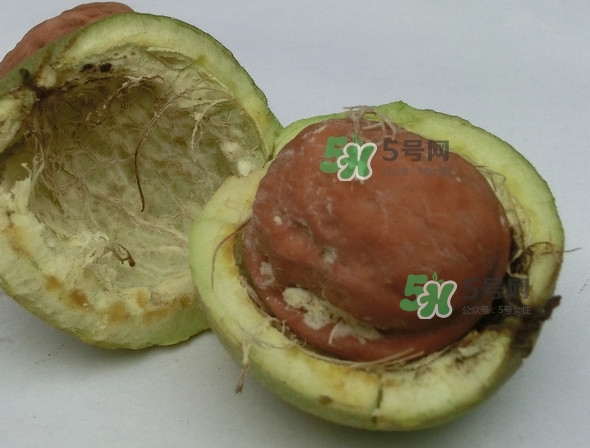 核桃最外面的青皮有什么用？為什么摸了核桃的青皮手會(huì)黑？