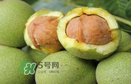 一斤青皮核桃退皮后剩多少？青皮核桃和普通核桃的區(qū)別