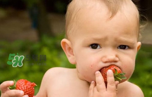 寶寶沒長牙吃什么輔食？寶寶沒長牙吃什么好？