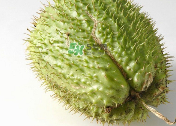 刺果番荔枝多少錢一斤？刺果番荔枝哪里有賣？