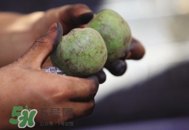 青皮核桃哪里有賣？哪里可以買到青皮核桃