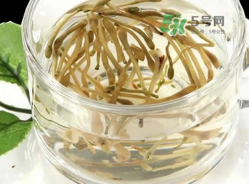 金銀花茶要怎樣泡才好喝？金銀花茶最佳泡茶水溫是多少