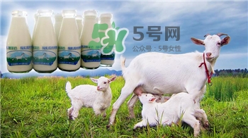 喝羊奶的好處是什么?羊奶好還是牛奶好? 喝羊奶的好處是什么?羊奶好還是牛奶好?