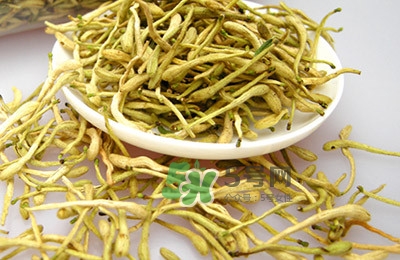 金銀花茶是去火的嗎？金銀花茶有什么功效與作用