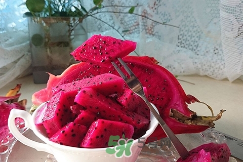 紅心火龍果寶寶能吃嗎？一歲以下寶寶能吃紅心火龍果嗎？