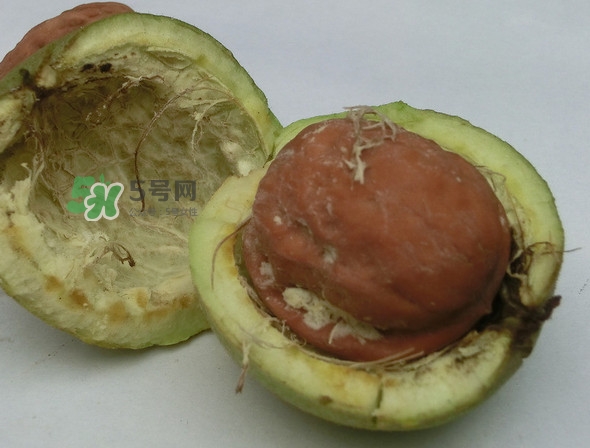青皮核桃是怎么變成干核桃的？吃核桃為什么有酒味